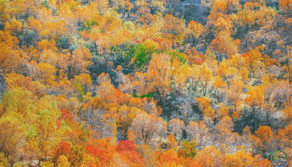 kancamagus highway new hampshire