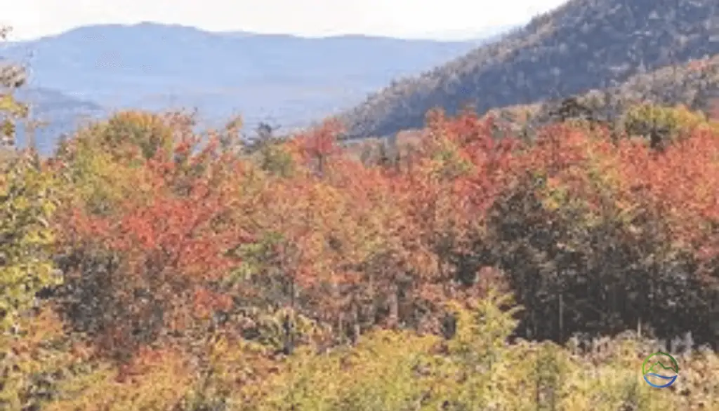 kancamagus highway weather