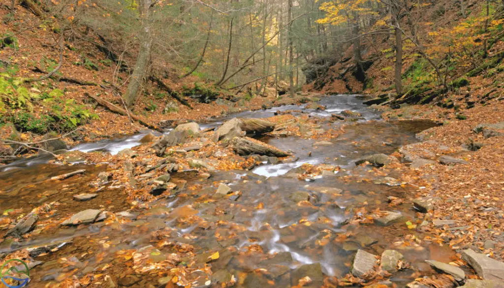 new hampshire fall foliage