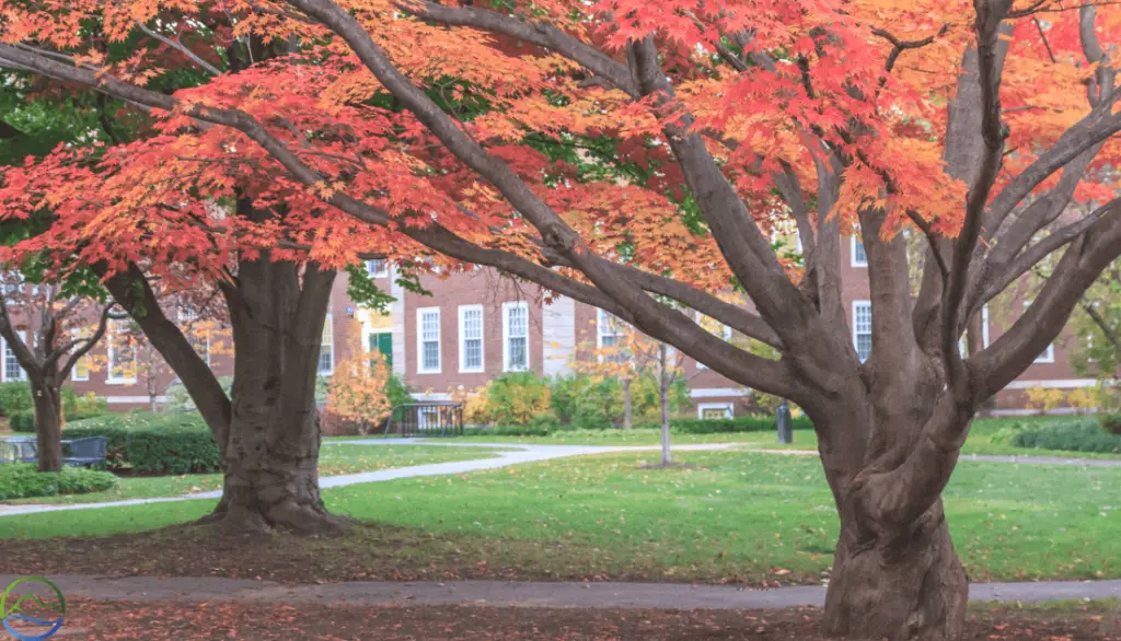 New Hampshire Fall Foliage