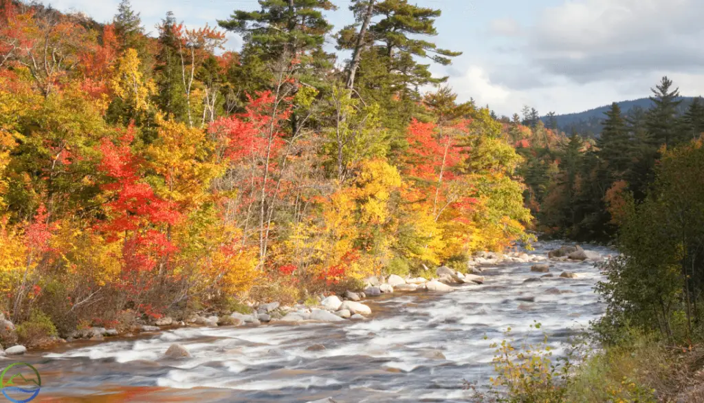 new hampshire fall foliage