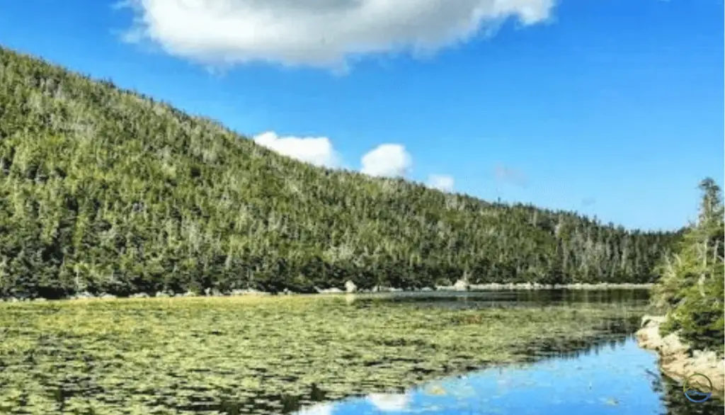 New Hampshire State Parks