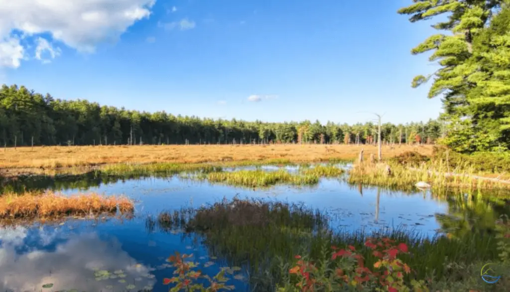 NH State Parks